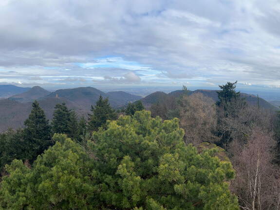 24-02-26 13-36-18 8705